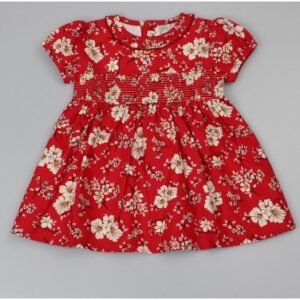 Baby Girls Flowers Lined Dress (1-2 Years)